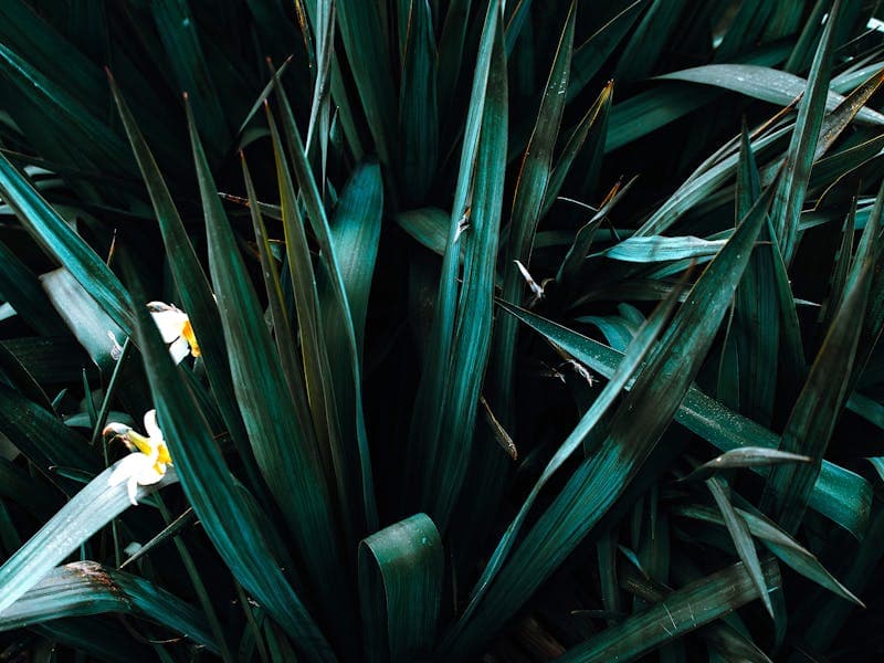 Mother and baby sleeping together