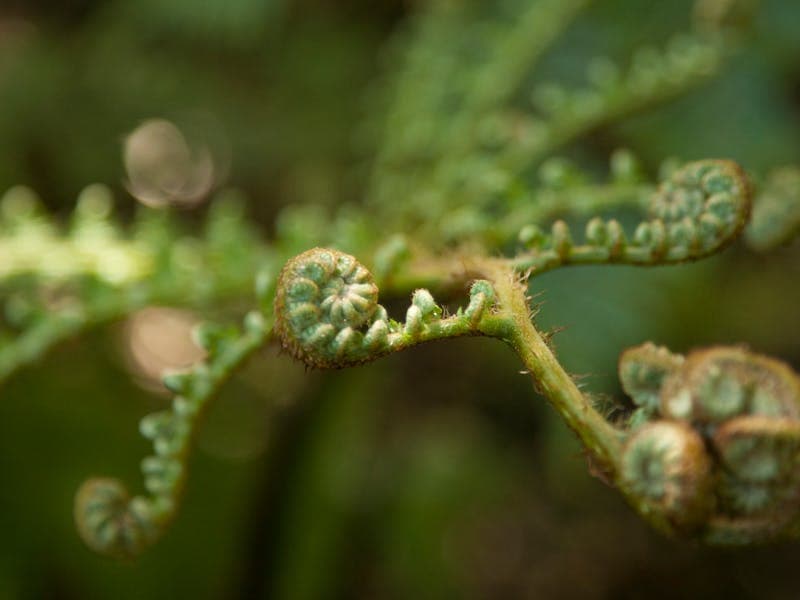 Nursery with natural light from window